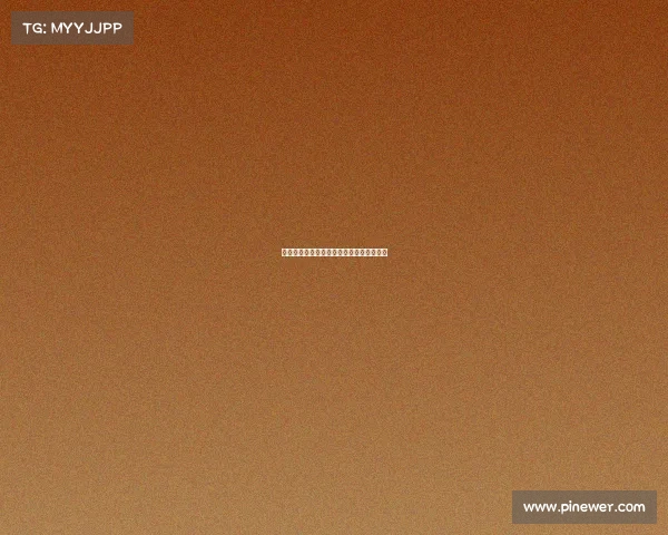 《星火执炬者：一位电竞舵手的破晓独白》